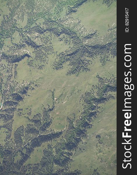 Aerial Photograph, Samuel R McKelvie National Forest