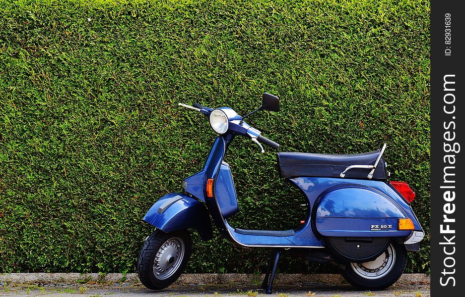 Blue Moped by Green Bush at Roadside