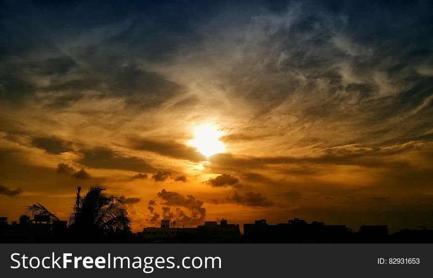 Silhouette of Trees and Buildings during Golden Hour