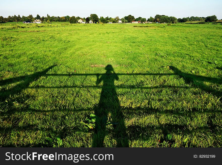 Shadow Of Farmer Inspecting Crop