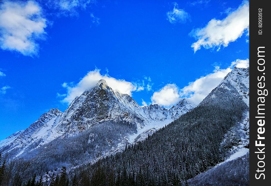 Gray Rocky Mountain Beside Pine Tree Under Blue Cloudy Sky During Day Time