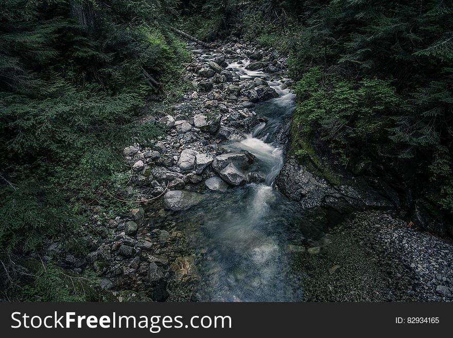 A stream running through rocks in a dark green forest. A stream running through rocks in a dark green forest.