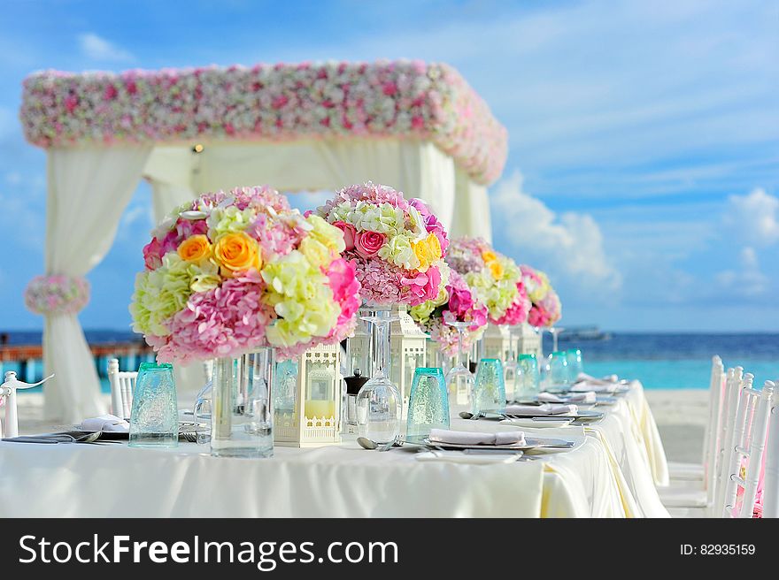 Yellow and Pink Petaled Flowers on Table Near Ocean Under Blue Sky at Daytime