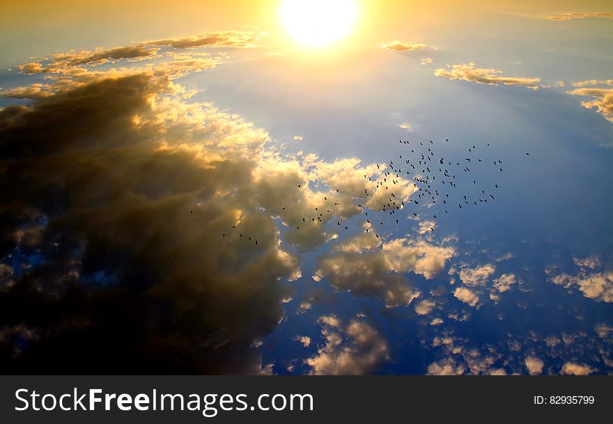 Birds Flying in the Sky during Daytime