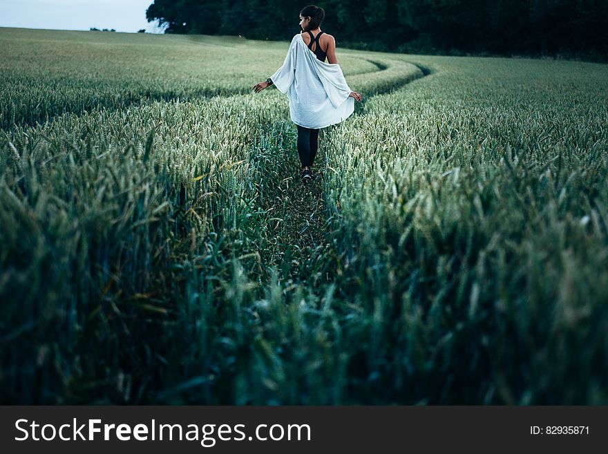 Woman Walking in the Rice Plant Field during Daytime