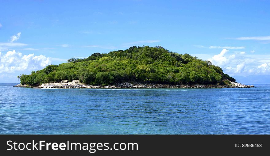 Island Covered With Green Trees Under the Clear Skies