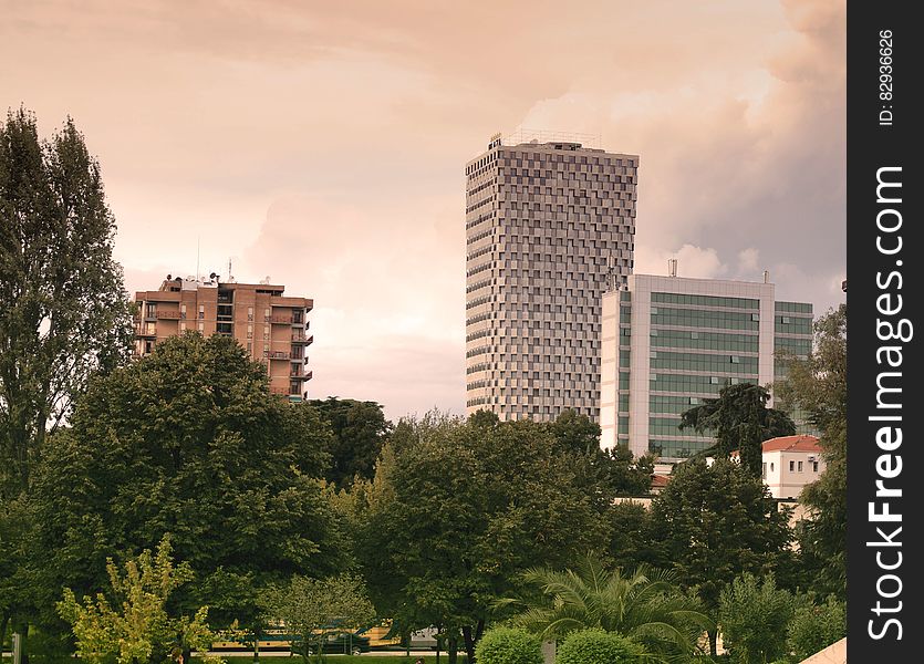 High Rise Buildings Near Green Leaf Trees Under White Sky during Daytime