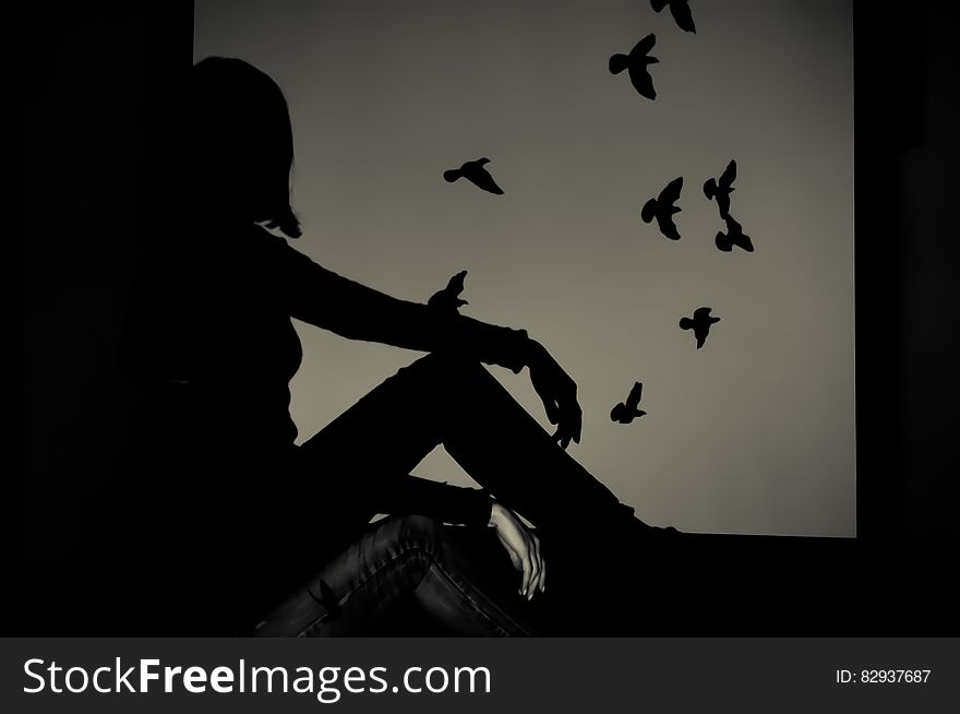Silhouette of Woman Sitting on Window Watching Birds Flying
