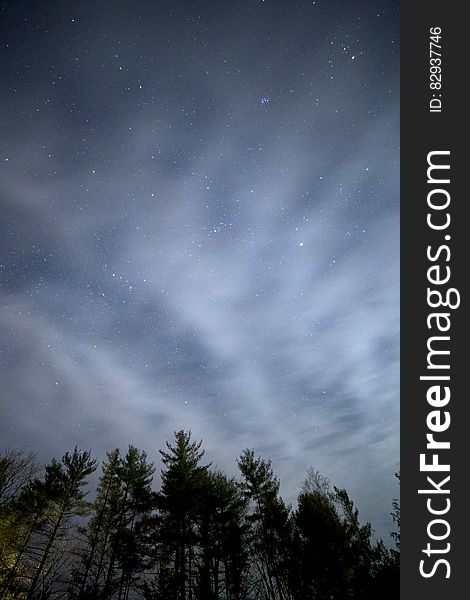 Starry sky and clouds over a silhouetted forest at night. Starry sky and clouds over a silhouetted forest at night.