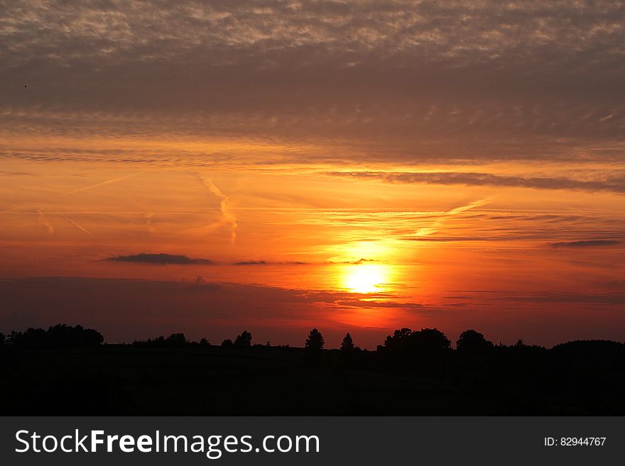 Orange Cloudy Sunset Over Tree Silhouettes