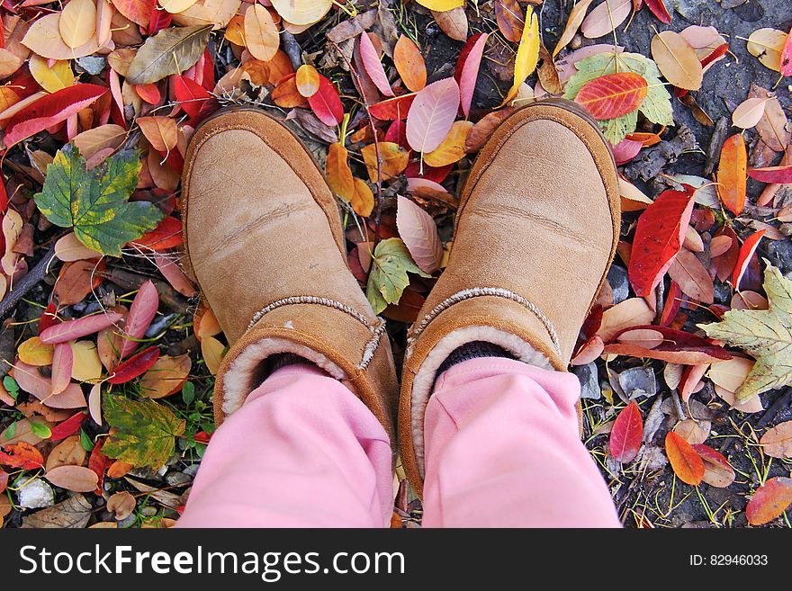 Person in Brown Sheepskin Boots and Pink Pants Standing on Leaf Covered Ground