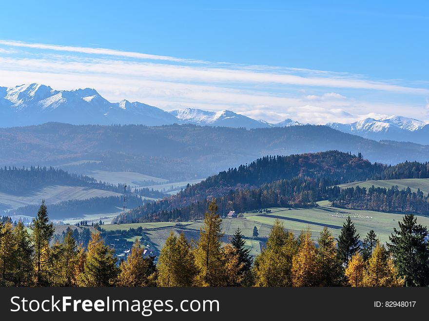 Landscape View of Mountain and Tress during Sunny Day