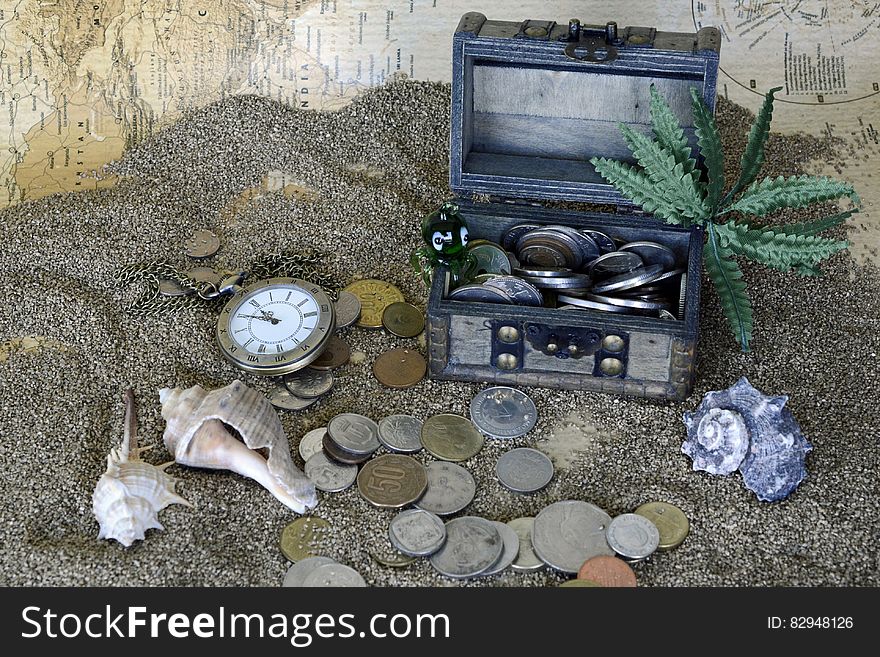 Gray Wooden Coin Box With Green Leaf Plant on Gray Sand