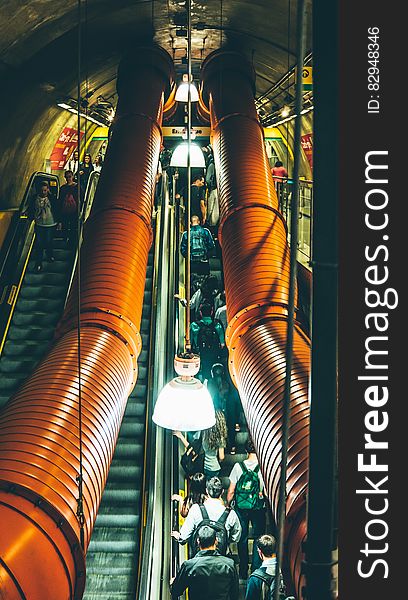 People Walking on Escalator