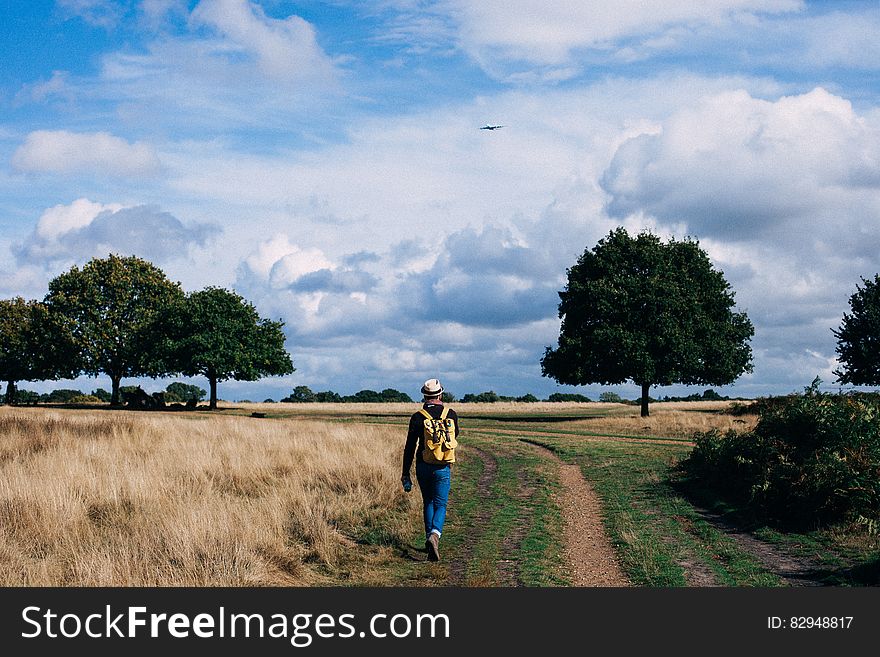 Person in Yellow and Black Backpack Walking on Green Grass Field Under Cloudy Blue Sky during Daytime