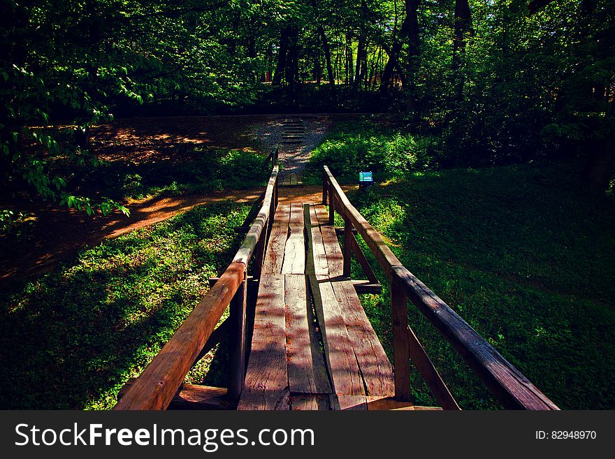 Brown Wooden Bridge Near Forest During Golden Hour