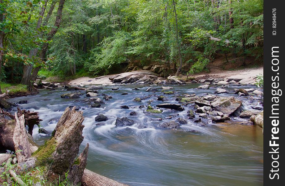Stream in a Forest With Grey Rocks