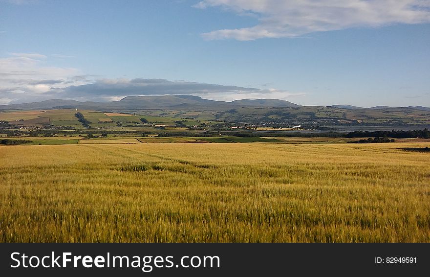 Brown Field Landscape Photography