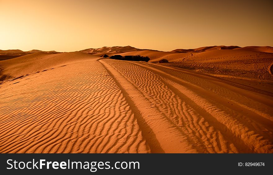 Tracks along sandy ridge in desert with golden skies. Tracks along sandy ridge in desert with golden skies.