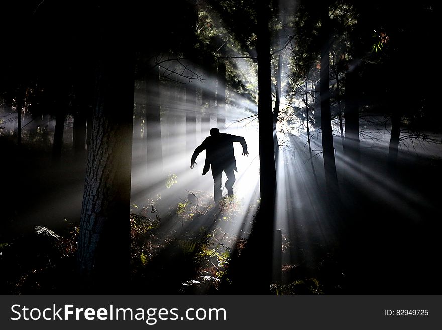 Silhouette Of Man Running On Forest