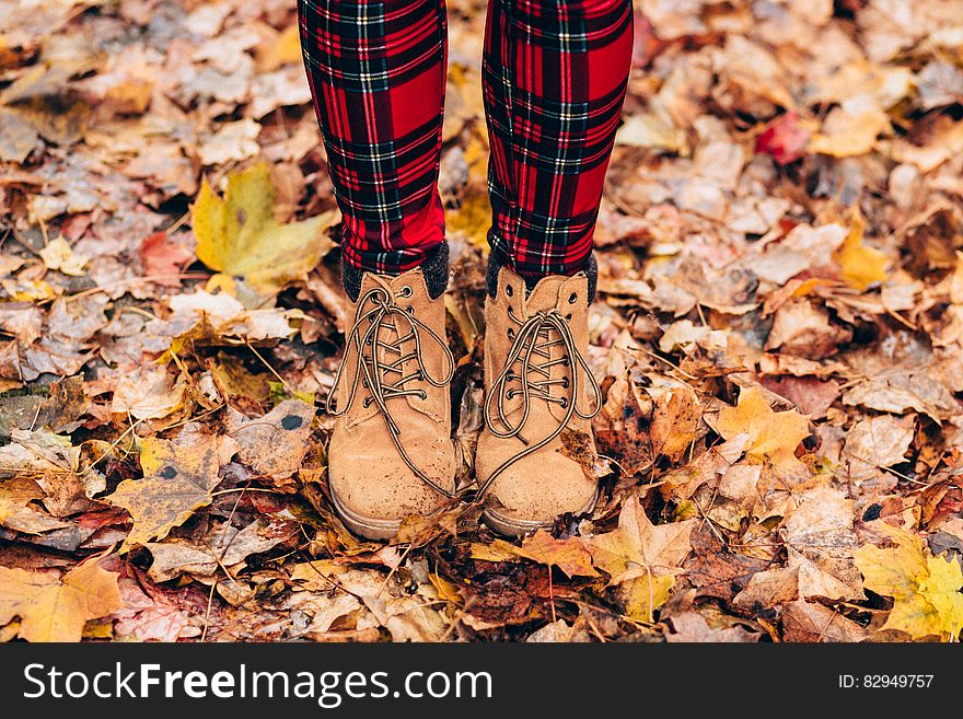 Person Wearing Brown Timberland Work Boots