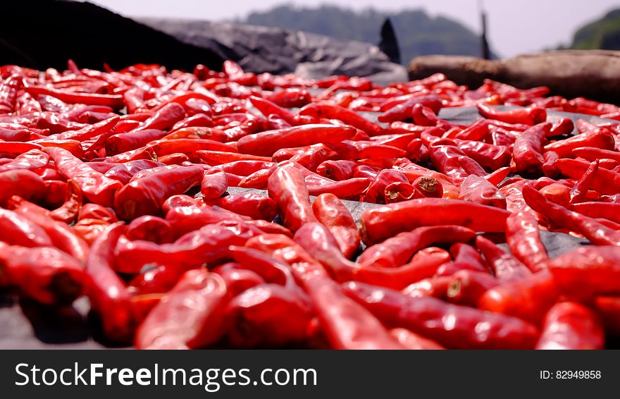 Pile of Red Chilli Pepper