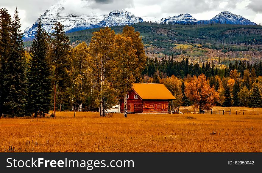 Wooden cabin in golden meadow next to trees with autumn foliage in mountain foothills on sunny day. Wooden cabin in golden meadow next to trees with autumn foliage in mountain foothills on sunny day.