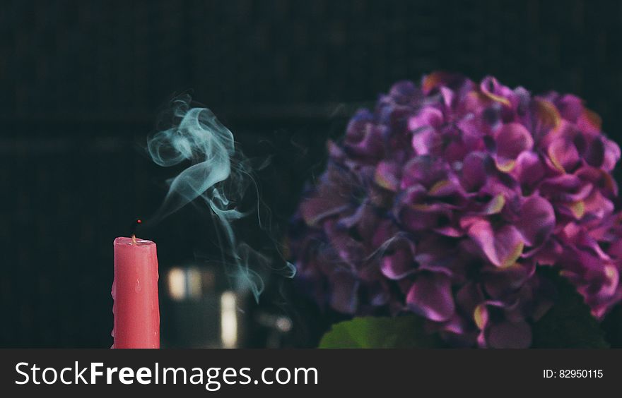 Red Pillar Candle Beside Purple Flower