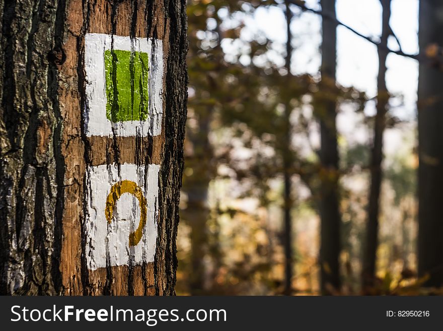 Brown Tree