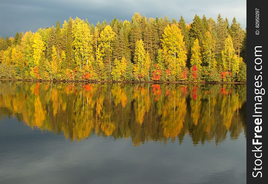 Green, orange and red colors of Autumn leaves of trees reflected in the surface of a tranquil lake. Green, orange and red colors of Autumn leaves of trees reflected in the surface of a tranquil lake.