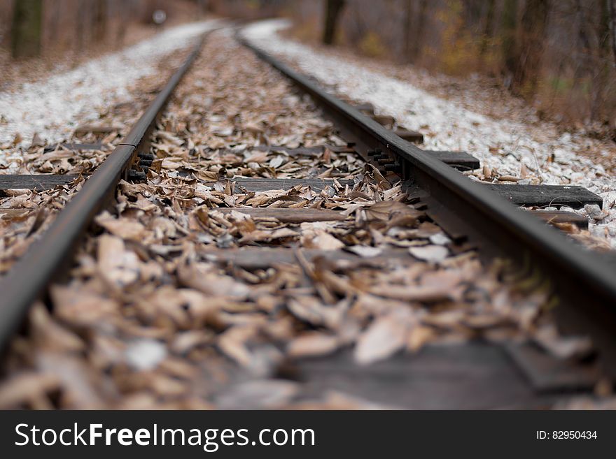 Railroad Tracks With Leaves
