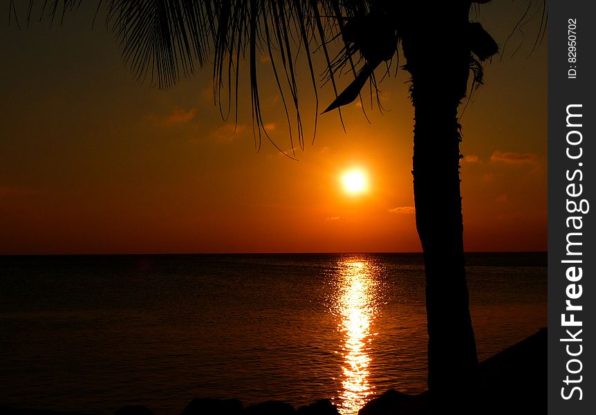 Sunset and orange glow over Caribbean ocean framed with a palm tree, perfect holiday destination. Sunset and orange glow over Caribbean ocean framed with a palm tree, perfect holiday destination.