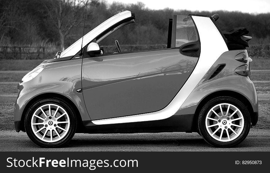 Smart Fortwo on Park