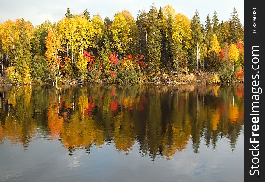 Autumn Foliage Along Waterfront