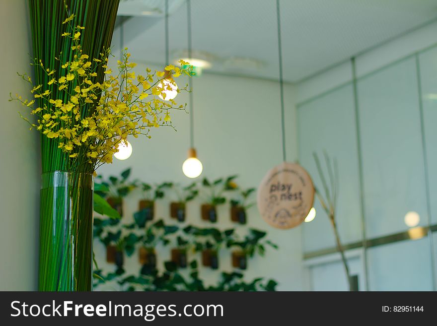 Indoor plants as a home decoration in a home decor store.