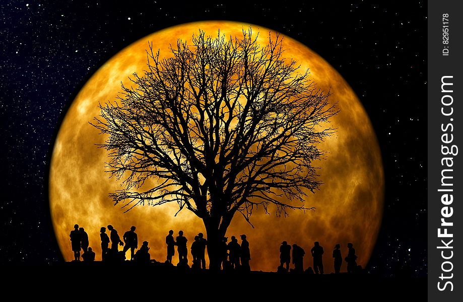 Silhouette of People Standing Neat Tree Under the Moon
