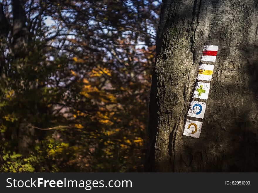 Selective Focus Photo of Tree Trunk at Daytime