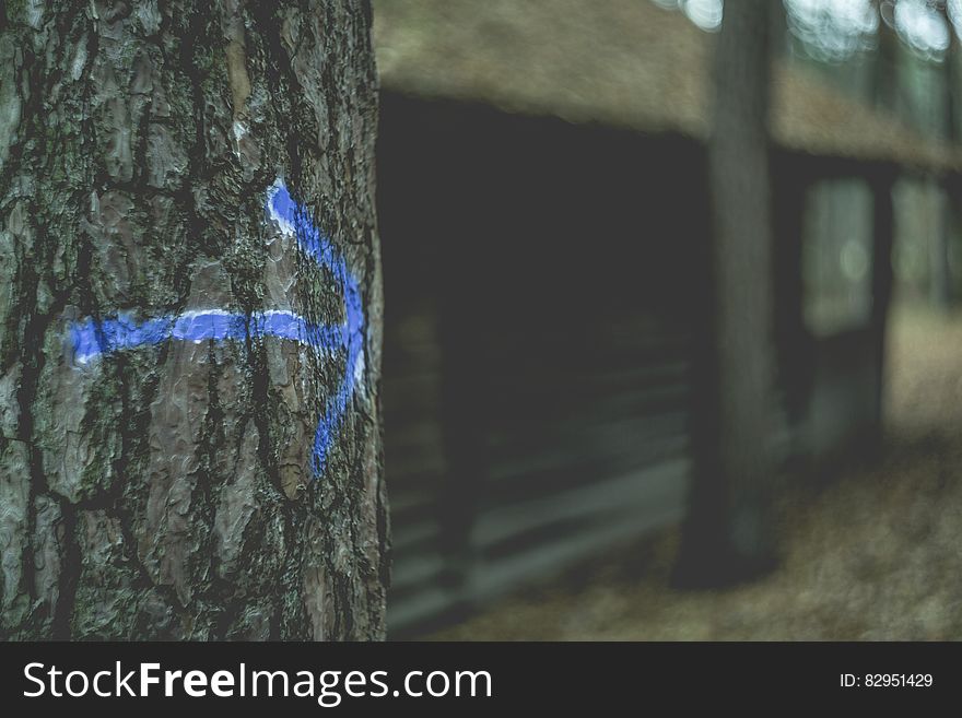 Blue Arrow On Tree