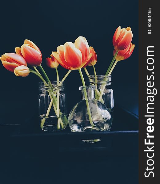 Red and Yellow Tulips in Clear Glass Jar and Vase Still Life Painting