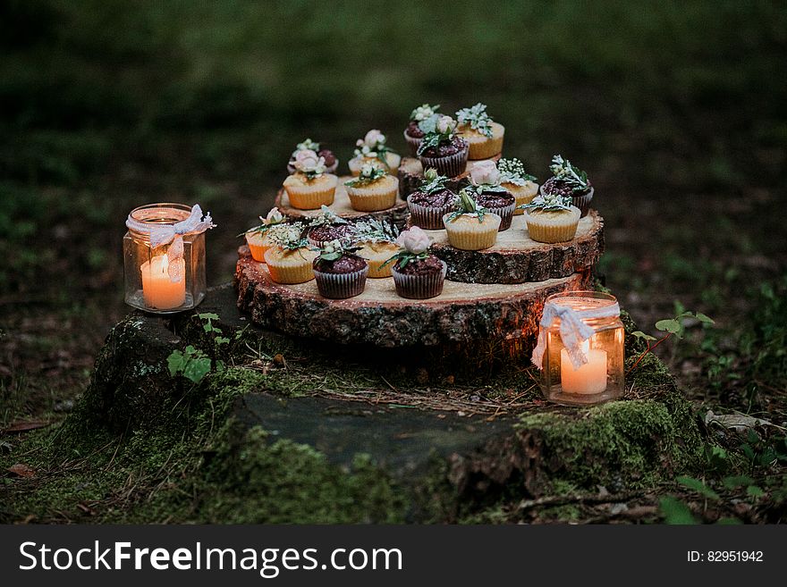 Cupcakes and Candles on Stump Surrounded by Moss