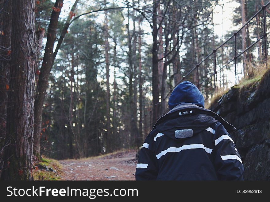 Back View of Man in Forest