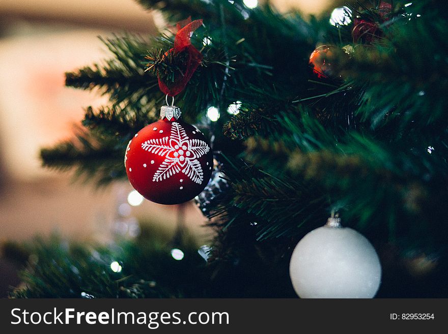 Close-up of Christmas Tree