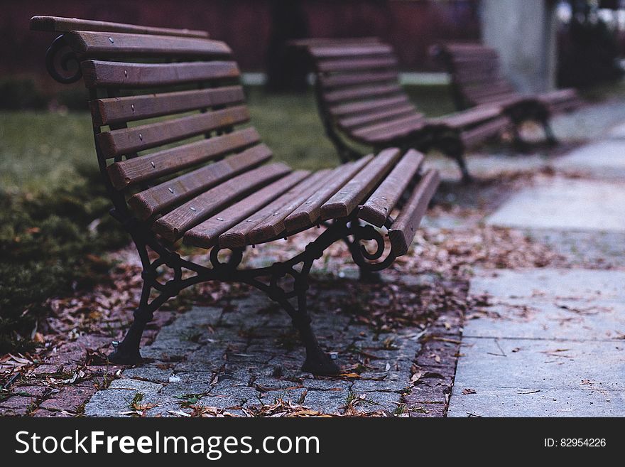 Empty benches outdoors on leaf covered sidewalk in daytime.