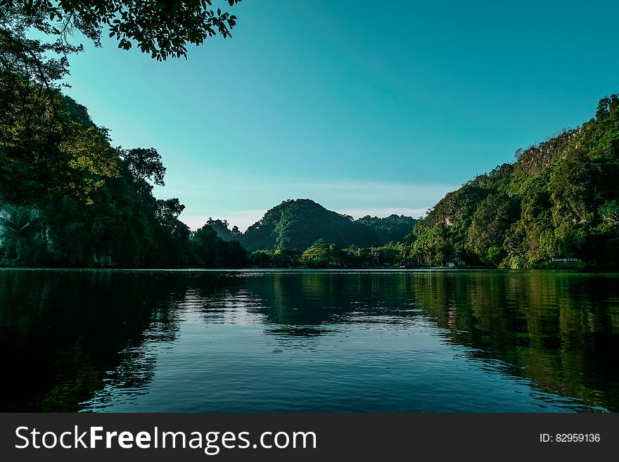 Tree Lined Lake Shores