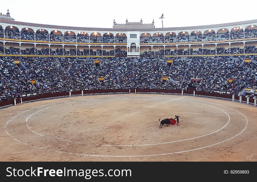 Bullfighter in crowded arena with bull on sunny day. Bullfighter in crowded arena with bull on sunny day.
