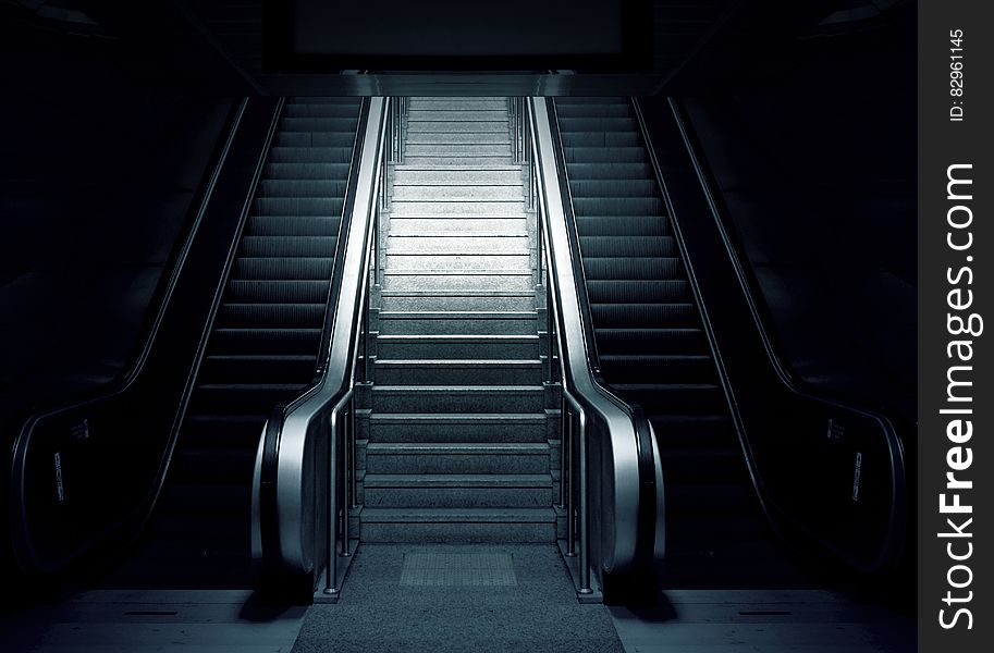 A pair of escalators with a staircase between them. A pair of escalators with a staircase between them.