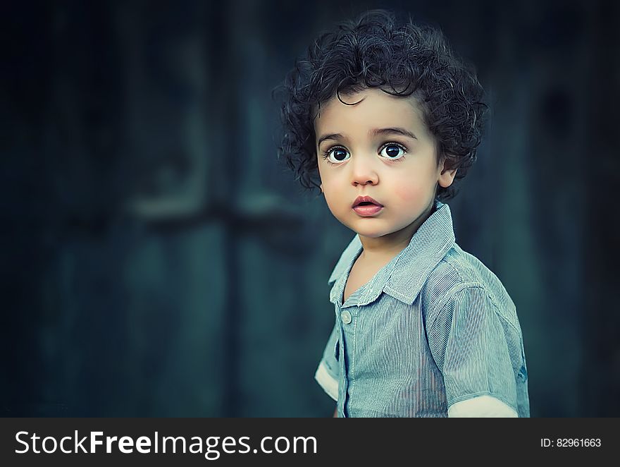 Outdoor portrait of young boy with black curly hair on sunny day.