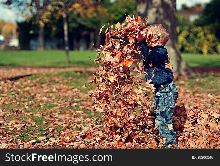 Boy Playing With Fall Leaves Outdoors