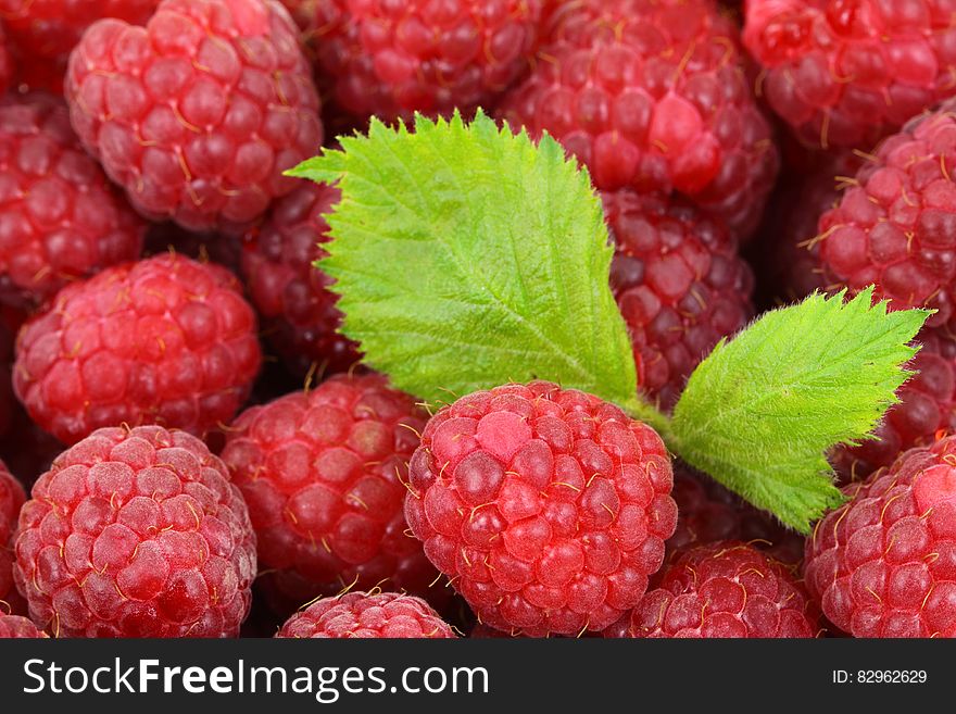 Red Raspberries With Green Leaves