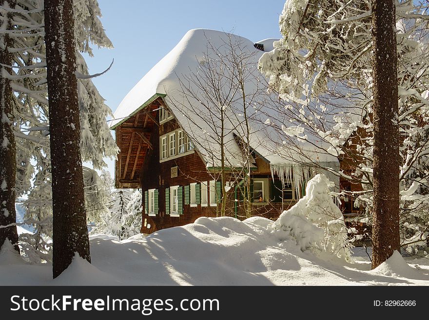 Scenic view of snow covered chalet lodge in woodland with trees in foreground, winter scene. Scenic view of snow covered chalet lodge in woodland with trees in foreground, winter scene.